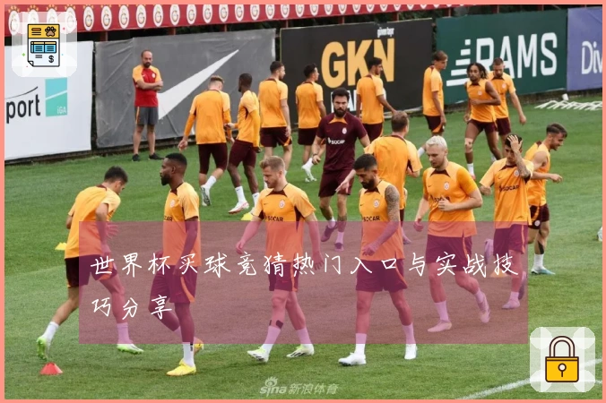 世界杯买球竞猜热门入口与实战技巧分享