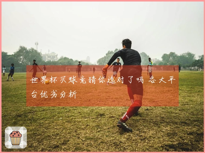 世界杯买球竞猜你选对了吗 各大平台优劣分析