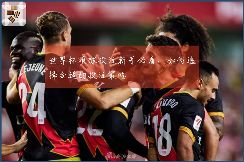 世界杯滚球投注新手必看，如何选择合适的投注策略