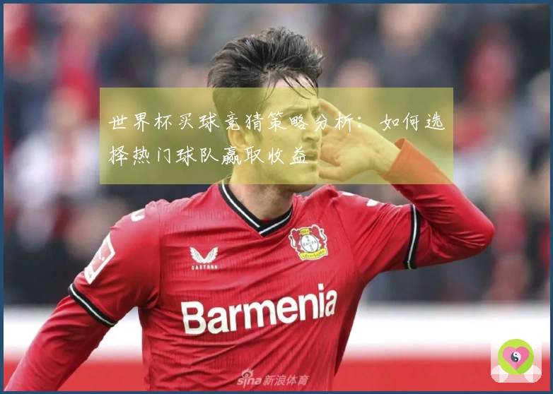 世界杯买球竞猜策略分析：如何选择热门球队赢取收益