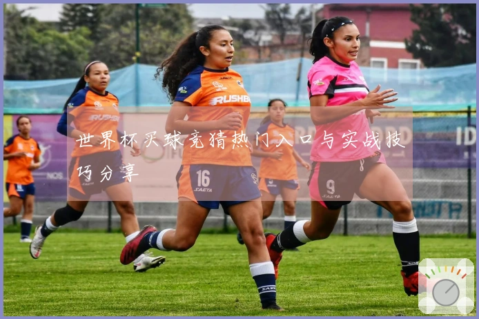 世界杯买球竞猜热门入口与实战技巧分享