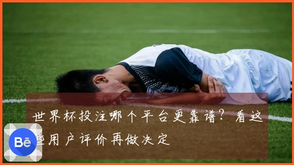 世界杯投注哪个平台更靠谱？看这些用户评价再做决定