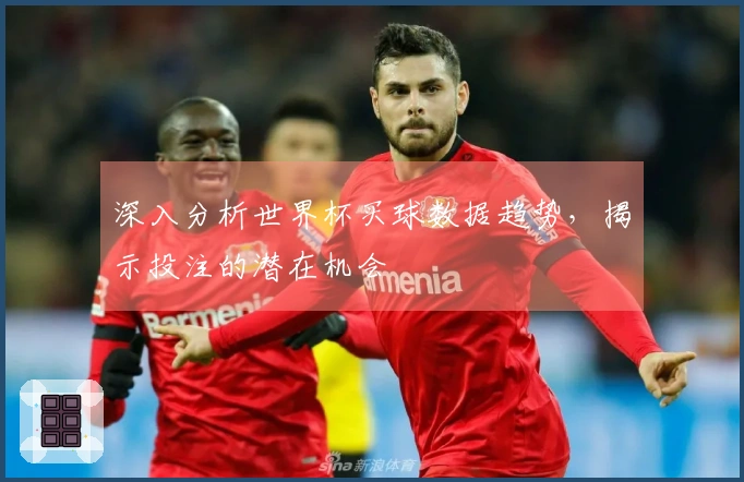 深入分析世界杯买球数据趋势，揭示投注的潜在机会