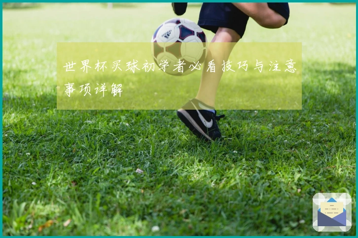 世界杯买球初学者必看技巧与注意事项详解