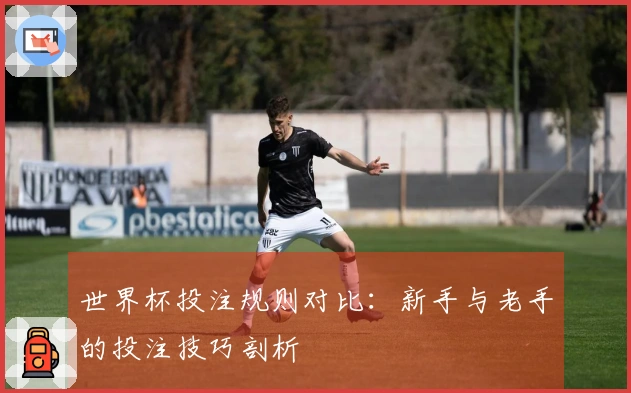世界杯投注规则对比：新手与老手的投注技巧剖析