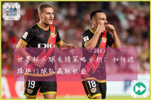 世界杯买球竞猜策略分析：如何选择热门球队赢取收益