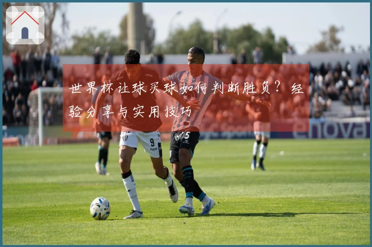 世界杯让球买球如何判断胜负？经验分享与实用技巧