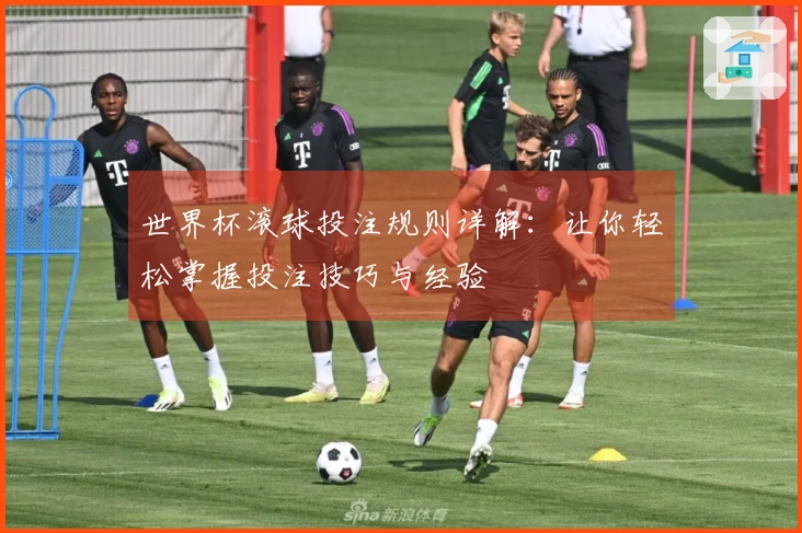 世界杯滚球投注规则详解：让你轻松掌握投注技巧与经验