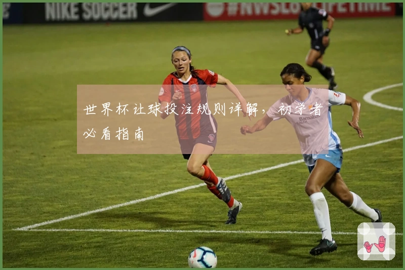 世界杯让球投注规则详解，初学者必看指南