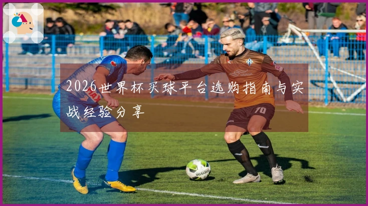 2026世界杯买球平台选购指南与实战经验分享