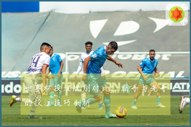 世界杯投注规则对比：新手与老手的投注技巧剖析