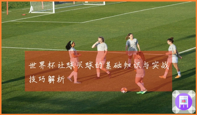 世界杯让球买球的基础知识与实战技巧解析