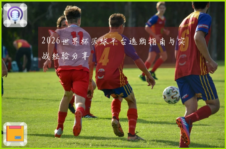 2026世界杯买球平台选购指南与实战经验分享