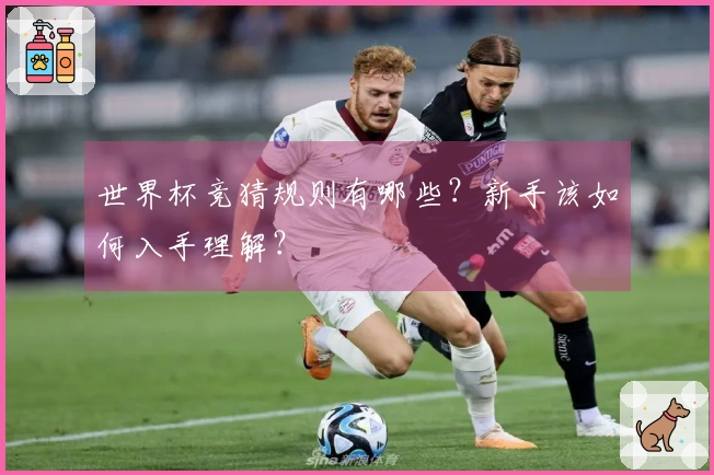世界杯竞猜规则有哪些？新手该如何入手理解？