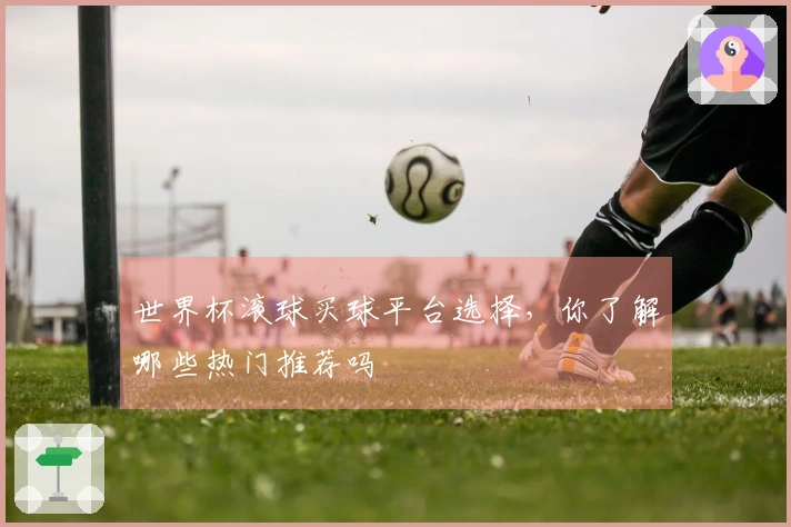 世界杯滚球买球平台选择，你了解哪些热门推荐吗
