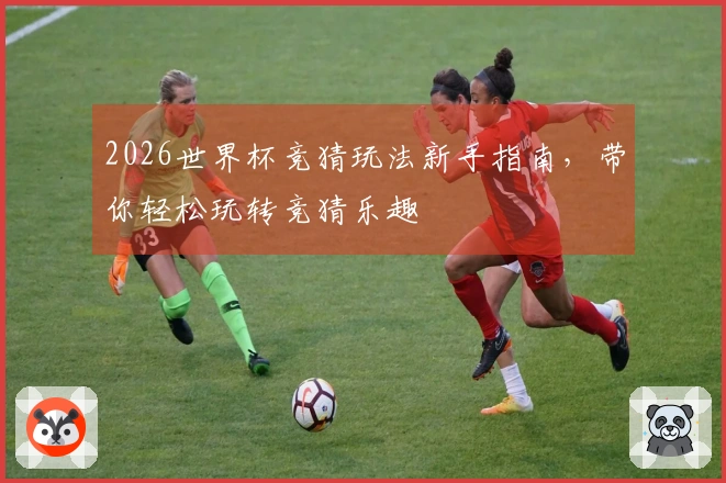 2026世界杯竞猜玩法新手指南，带你轻松玩转竞猜乐趣