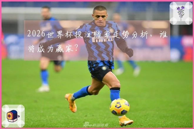 2026世界杯投注赔率走势分析，谁将成为赢家？